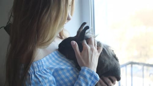 Woman Holding a Gray Rabbit by a Window
