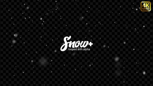 Abstract White Particles Motion Graphics on Black