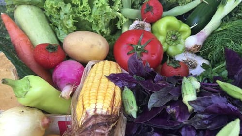 Fresh Vegetables Close Up Colorful Still Life