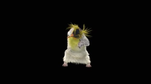 Pinguin tanzend HD