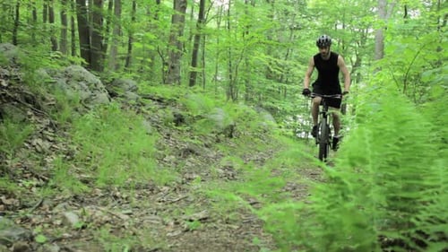 Male cyclist riding through forest