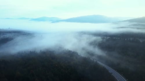 Misty Forest Road Aerial Landscape
