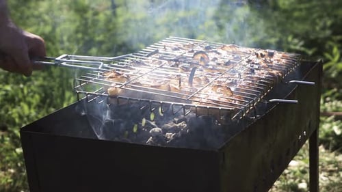 Shish Kebab In Barbeque Grill
