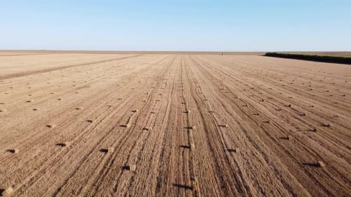 Champ de blé avec gerbes après la récolte et ciel bleu clair un jour d'été