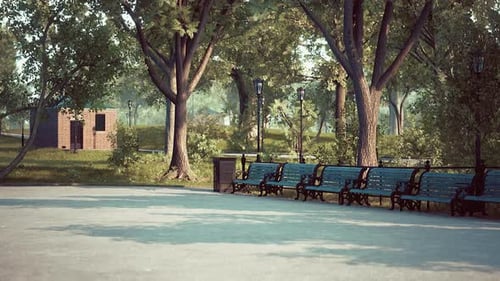 Lush Green Park with Benches and Trees on a Sunny Day