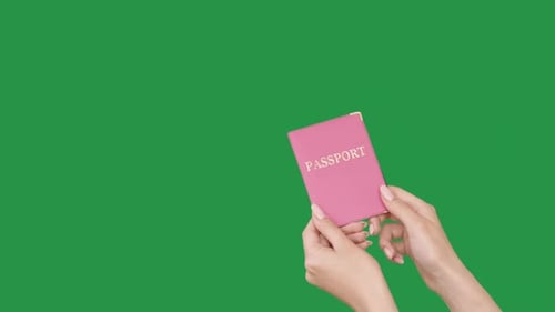 Hand Holding Pink Passport Against Green Screen