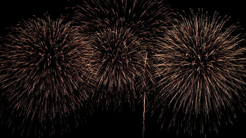 Firework Holiday