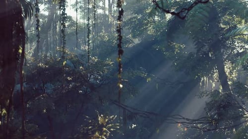 Lush Tropical Jungle Forest with Sun Rays Panning Motion
