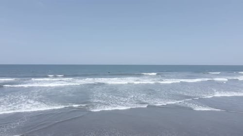 Seagulls playing along the coast of beautiful sunny tropical beach