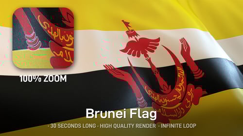 Realistic Waving Brunei Flag Loop Animation