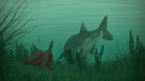 Unterwasserszene mit den großen Fischen, die in der Nähe des lebenden Köders am Haken schwimmen.