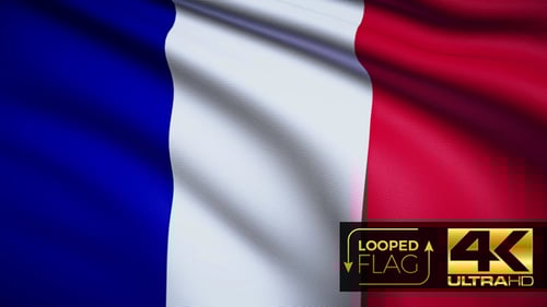 Realistic French Flag Waving Loop Animation