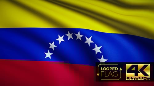 Realistic Looped Venezuela National Flag Waving