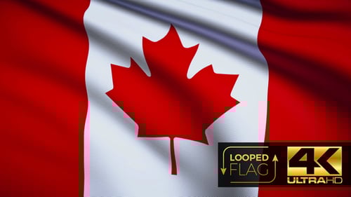 Waving Canadian Flag Seamless Loop Background Animation