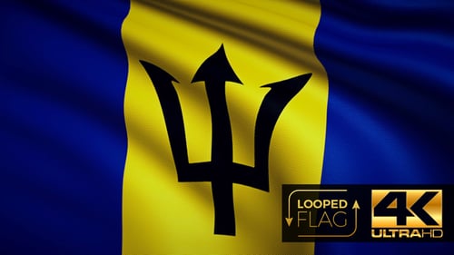 Realistic Barbados Flag Waving Loop