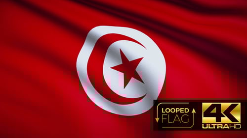 Tunisia National Flag Waving Seamless Loop Animation
