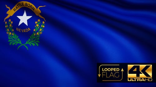 Nevada State Flag Waving Seamless Loop Background