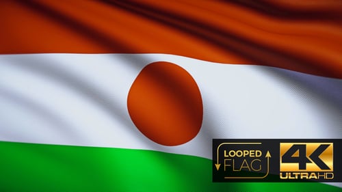 Realistic Waving Niger Flag Loop