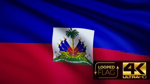Realistic Looping Animation of the Waving Haitian Flag