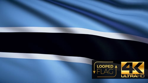 Animated Flag Waving Loop with Realistic Fabric Texture