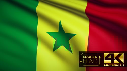 Realistic Looped Animation of Waving Flag of Senegal