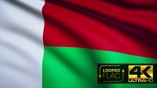 Realistic Looping Waving Flag of Madagascar