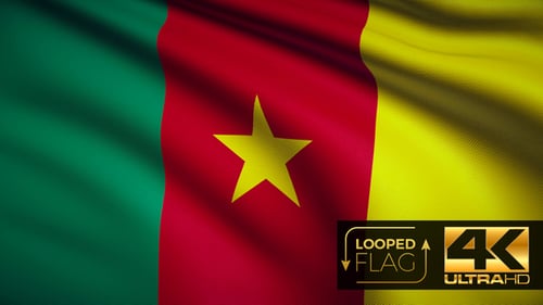 Cameroon Flag 4K