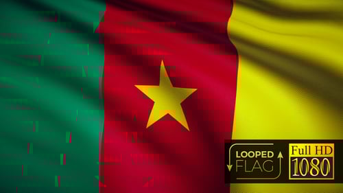 Realistic Cameroon National Flag Waving Seamless Loop