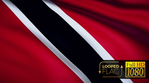 Red, Black, and White Waving Flag Loop