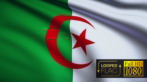 Algerian Flag Waving Looped with Realistic Fabric Texture