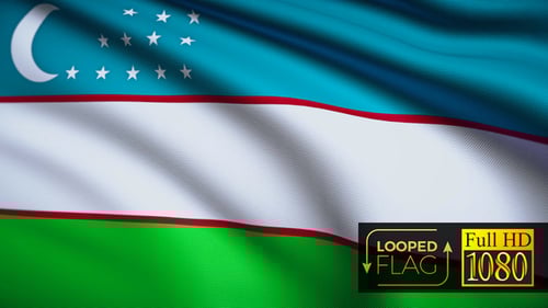 Waving Uzbekistan Flag Seamless Loop 3D Render