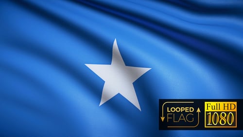 Realistic Looping Somalia Flag Waving Animation