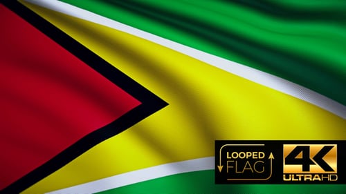 Guyana Flag 4K