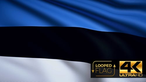 Realistic Waving Flag of Estonia Seamless Loop Animation