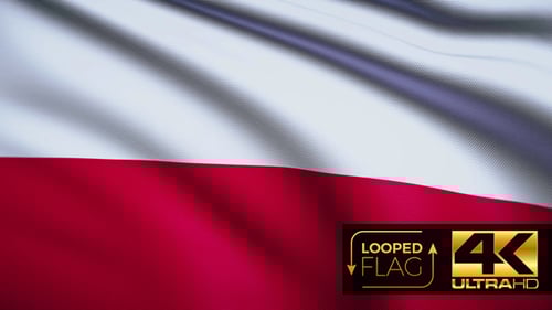 Waving Fabric Flag Seamless Loop Animation
