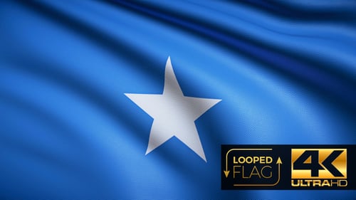 Realistic Waving Somalia National Flag Seamless Loop