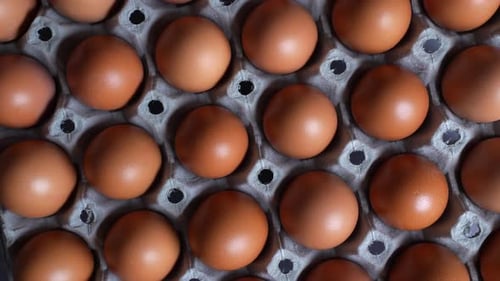Carton of Fresh Brown Eggs Filling Frame