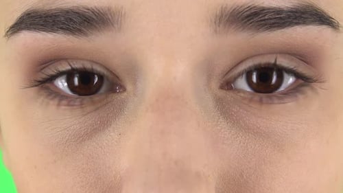 Brown Female Eyes Looking Straight. Close Up