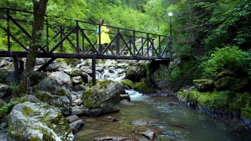 Vue de dessus de la rivière et de la forêt de Sibérie