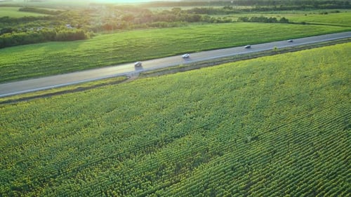 Cars drive on highway in countryside at sunset