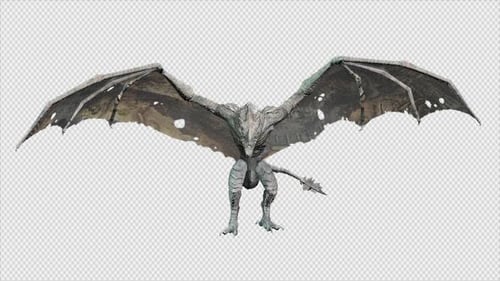 Drachen-Landung