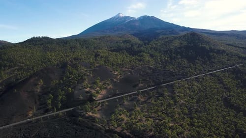 Incredible Aerial Views of Lava Forests in Teide Volcano National Park