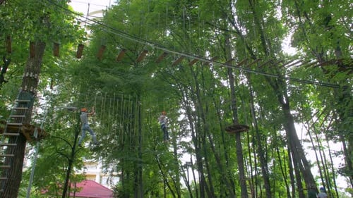 The Adventure Rope Park