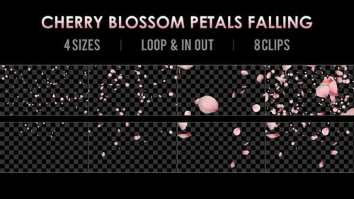 Realistic Falling Cherry Blossom Petals Pack