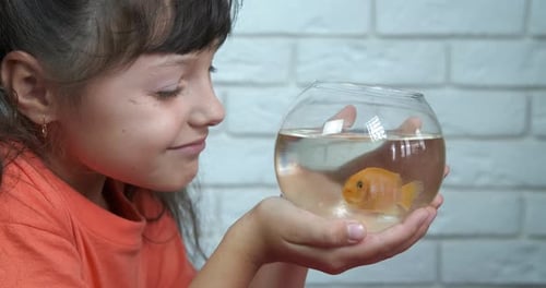 Girl Enjoys Goldfish in Glass Bowl Aquarium