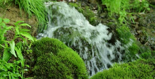 Pequeña cascada en el bosque