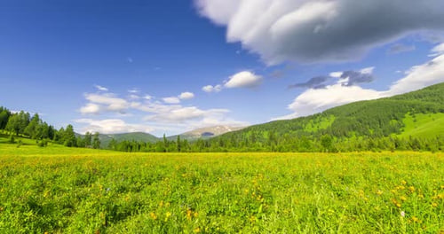 Mountain Meadow Timelapse at the Summer or Autumn Time