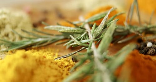 Colorful Culinary Spices and Rosemary Close Up