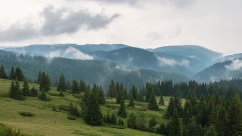 Moving morning mists over the tree-covered mountain slopes