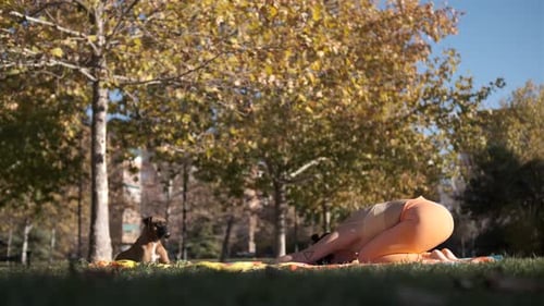 Sporty woman practicing yoga outdoors in the park with her dog. Child's Pose and Cobra Pose